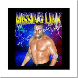 MISSING LINK Posters and Art